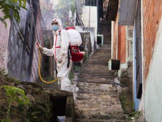 Guida completa alla disinfestazione: insetti, parassiti e infestazioni urbane 9