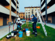 Squadra di giardinieri al lavoro in un cortile condominiale di Milano con dispositivi di protezione e attrezzature per la manutenzione del verde